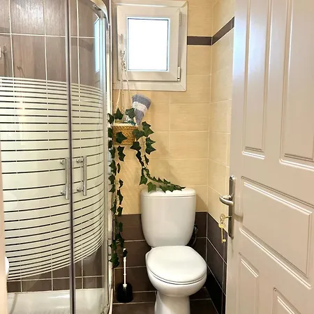 Aventora * ליגיה